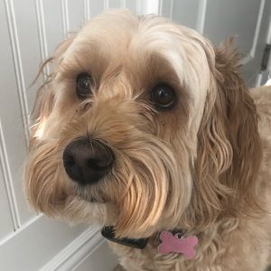 Meet your Posher, Nicole